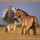 39330_8933aabb9977_s