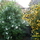 45750_12a6453cdfec_s