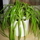 51519_2cfc7cbdae0c_s