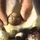 54929_185e496079e4_s