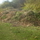 50123_48dc27adba2d_s