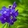 94394_e480102e5f36_s