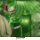 0106_1111454_6922_t