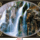 0123_1111455_8567_t