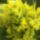 A_kertunkbol_2_1111542_8868_t
