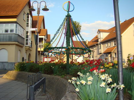Húsvéti forrás  -    Pfaffenhofen (Baden -Würtemberg)