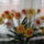 Narcisz_csokor_1111097_2058_t