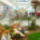 Nyuszi_piheno_1111175_6975_t
