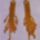 Rojtos_peyote_fuli_1_1111944_1383_t