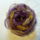 Rozsa_organzabol_010_1112258_9599_t