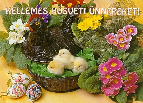 Kellemes húsvéti ünnepeket !