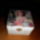 Kis_doboz_1113383_1756_t