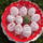 Dsc01780_1114473_6833_t