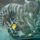 Tigris1_1114972_6017_t