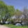 Fuzfak_1115048_4960_t