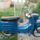 Schwalbe__3_1115759_1293_t