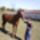 Szendy_vel_2_1115762_7272_t