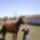 Szendy_vel_3_1115763_6098_t