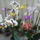 Csoportkep2_1116407_6328_t