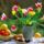 Husvet_1117632_6491_t