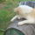 Dsc01766_1118555_9297_t