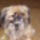 Egy_kicsit_unalmasan_1118267_4432_t