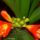 Viragaim_4_1118720_9730_t