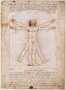 260px-Vitruvian leonardó