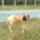Fenykep0004_1119108_4328_t