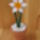 Gyongy__4_1119985_3250_t