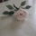 Gyongy__6_1119987_1017_t