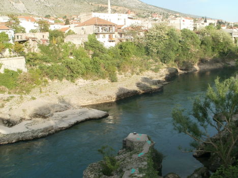 P4242461