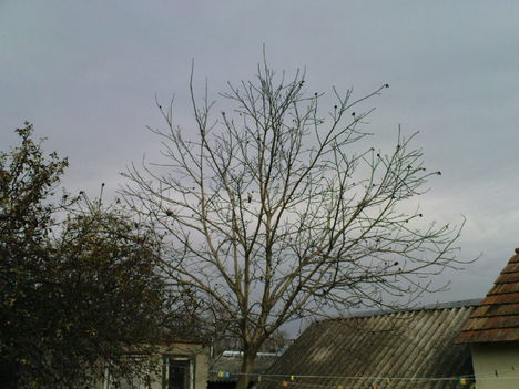 DSC01754