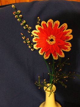 gerbera