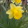 Halhober_istvan_8_1110130_4849_t