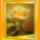 Rozsa__1101968_2254_t