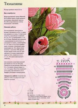 rózsaszín_tulipán