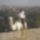 Teves_rendor_1110619_2384_t