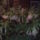 Virag_ozon_1011418_5007_t
