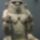 Img_0986_1121038_9575_t