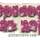 Anyanak_22_1122516_7917_t
