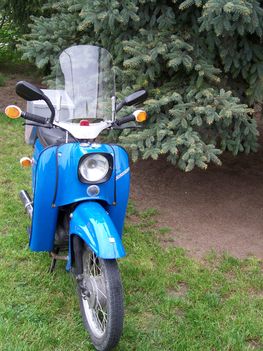 Kép 334