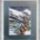 Teli_taj_3_1122068_8261_t