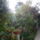 Kedvenceim_4-001_1123670_7565_t