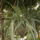 Kedvenceim_7-001_1123673_4617_t