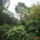 Kedvenceim_8-001_1123674_1844_t