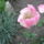 Kepek_520_1123067_8631_t