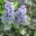 Kepek_523_1123068_2856_t