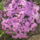 Kepek_534_1123083_7042_t