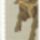 Minta_17_1123268_6055_t